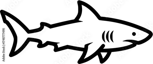 shark, sea animal vector illustration
