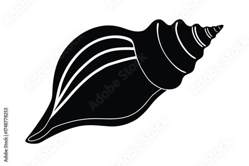 conch shell silhouette vector art