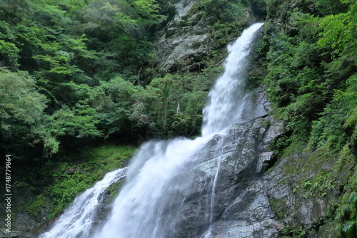迫力ある飛龍の滝　安居渓谷　（高知県　仁淀川町）