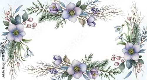watercolor winter floral frame. botanical illustration of snowy fir branches, berries, anemone, hellebore flowers. Isolated on white background, elegant artwork for Christmas and holiday greeting card