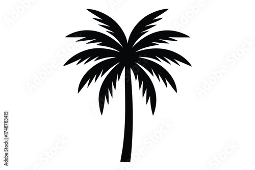 palm tree leaf silhouette vector art