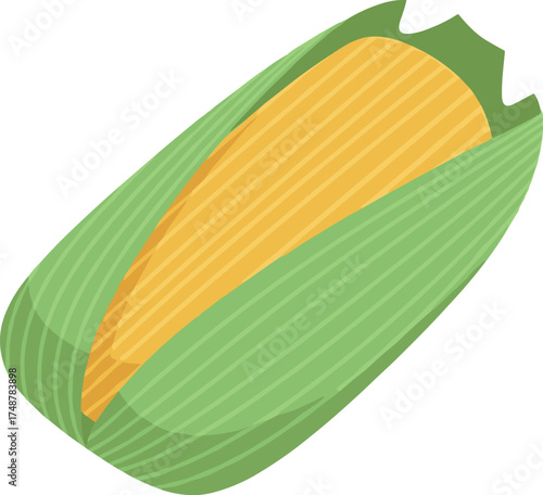Illustration of an ear of corn with green husk on transparent background