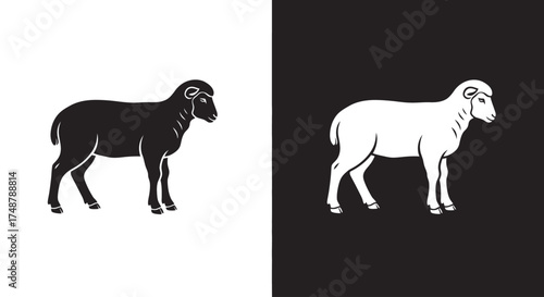 A black sheep and a white sheep stand on contrasting backgrounds, symbolizing opposites, duality, and nonconformity.