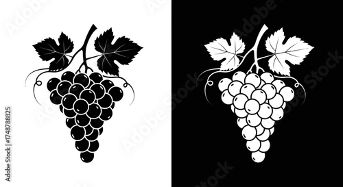 A set of two monochrome grape cluster icons, featuring a black silhouette on white and a white version on black.