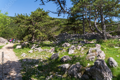 Baška, Croatia - April 20, 2025: Mountain hiking trail in the mountains among the forest.