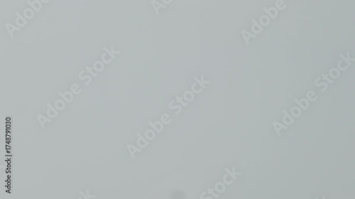 A flock of birds flies in formation against a pale, overcast sky. The minimalist scene highlights movement, migration, and freedom, creating a poetic and cinematic impression of nature in motion.