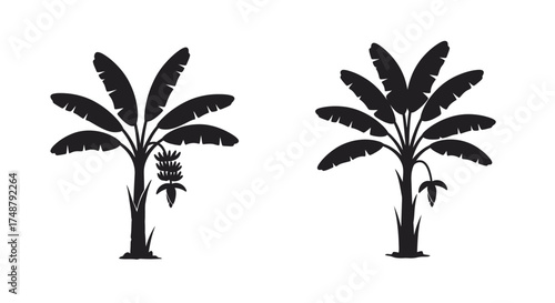 Two simple black silhouette illustrations of banana trees with foliage