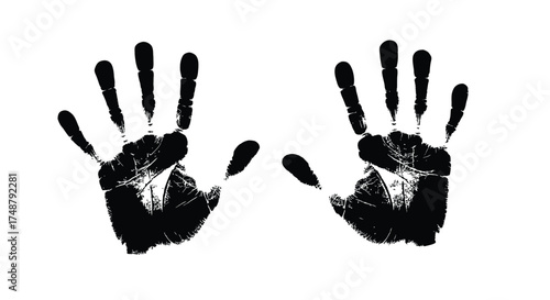 Two dark handprints on a white background a stark visual contrast