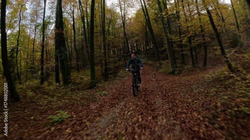 Wallpaper Mural Woman rides her bicycle along a forest trail covered in golden autumn leaves, with her dogs joyfully running alongside. Outdoor lifestyle and the joy of exploring natural landscapes with beloved pets. Torontodigital.ca