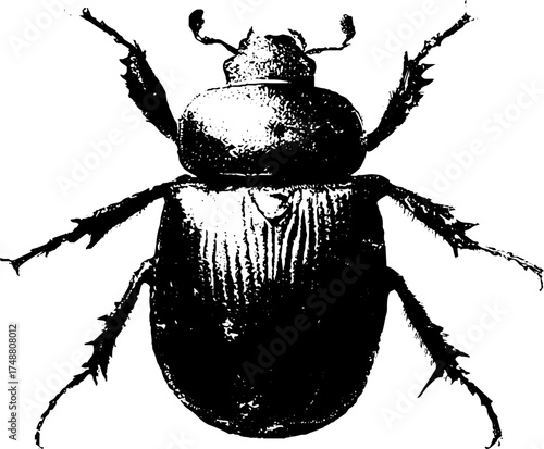 Black and white beetle silhouette design for artistic projects