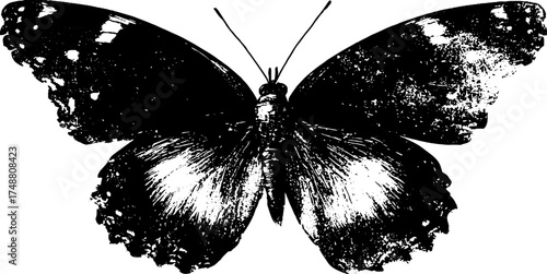 Grunge black and white butterfly stencil design for artistic print and decor