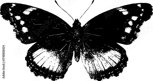 Intricate black and white stencil illustration of a butterfly