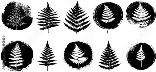 Black and white stencil of circular fern compositions for artistic design