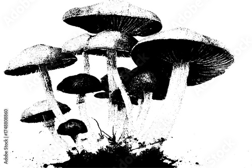 Monochrome mushroom cluster silhouette - artistic design for nature lovers