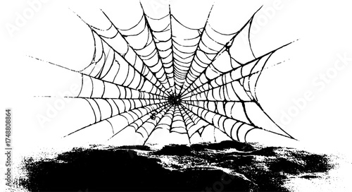 Black and white cobweb silhouette with vintage grunge texture for urban design