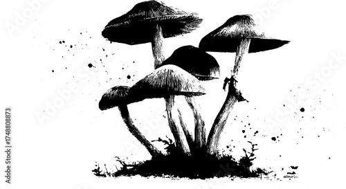 Black and white mushroom cluster silhouette with ink spatter texture