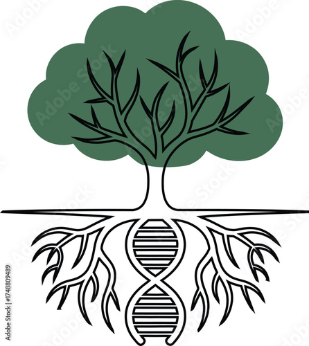 Family tree with roots showing dna connection and green leafy branches