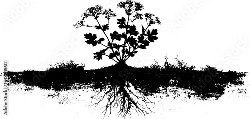 Monochrome stencil illustration of digital plant growth with roots reflecting nature's balance