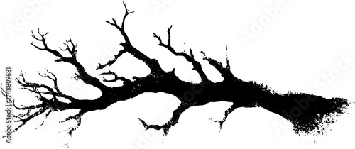Black and white stencil illustration of dried branch for artistic design