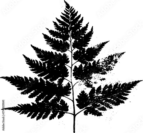 Distressed black and white fern leaf stencil design for botanical art