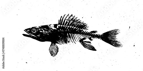 Black and white fish skeleton stencil illustration for art and design
