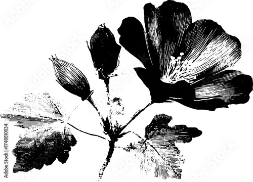 Black and white stencil illustration of flower with gear for art and design projects