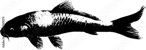 Black and white koi carp stencil art for decorative design