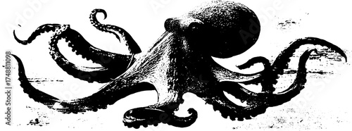 Black and white kraken silhouette illustration for nautical design