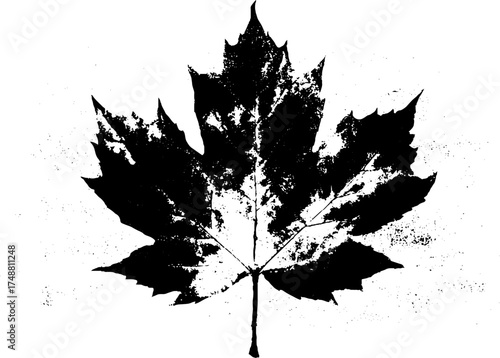 Black and white stencil leaf with torn edges for artistic design