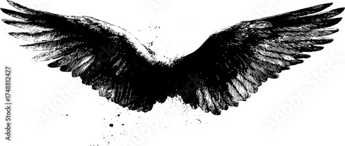 Black and white feathered wings stencil design for art and decor