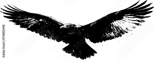Monochrome silhouette of a feathered bird in flight - ideal for design projects