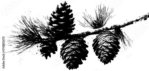 Black and white pine branch with cones stencil illustration for nature-inspired designs