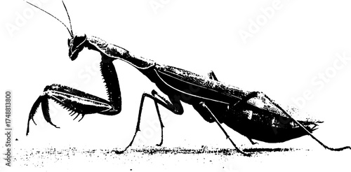 Futuristic robotic mantis stencil art design for posters or cards