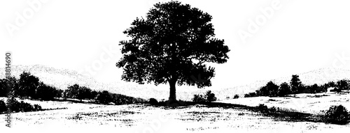 Minimalist nature design with single tree silhouette in black and white for art and decor