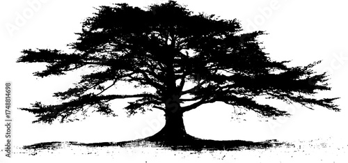 Black and white stencil illustration of a single tree silhouette