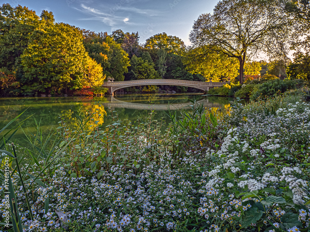 Fototapeta premium Bow bridge in late summer