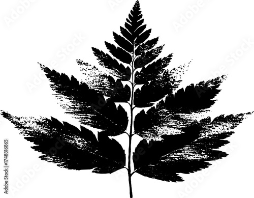 Black and white stencil design of wilted fern leaf for art and decoration projects