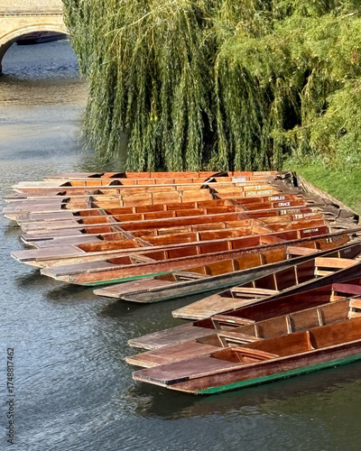 Tableau sur toile Traditional wooden punts moored on the River Cam beneath willow trees