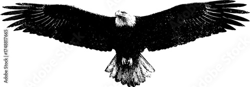 Majestic eagle silhouette in mid flight - black and white stencil art for posters and cards