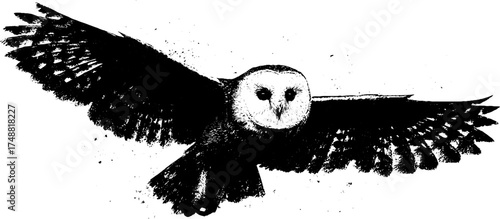 Black and white owl stencil illustration with open wings for art and design