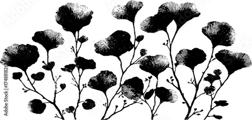 Black and white botanical leaf silhouette design for decor and art