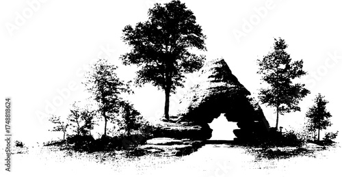 Silhouette of trees and rock formation with misty surroundings in black and white for art design