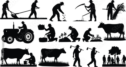 Farming, agriculture, rural workers, tractor, cow, harvest, planting, hoe, scythe, field labor, traditional farming, village life, crop work, livestock, seed planting, agricultural tools, 