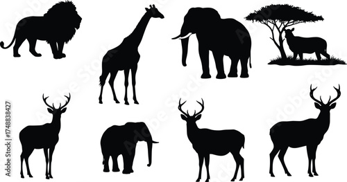 African wildlife silhouettes, lion, giraffe, elephant, antelope, savanna animals, black and white, nature, tree, safari, jungle, wild animals, mammals, Africa, fauna, ecosystem, 