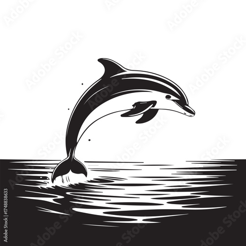Striking Black and White Hand-Drawn Dolphin Jumping Vector Illustration