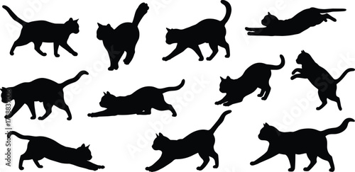 Black cat silhouettes, feline poses, walking, jumping, stretching, crouching, running cats, animal motion, pet behavior, vector illustration, isolated background