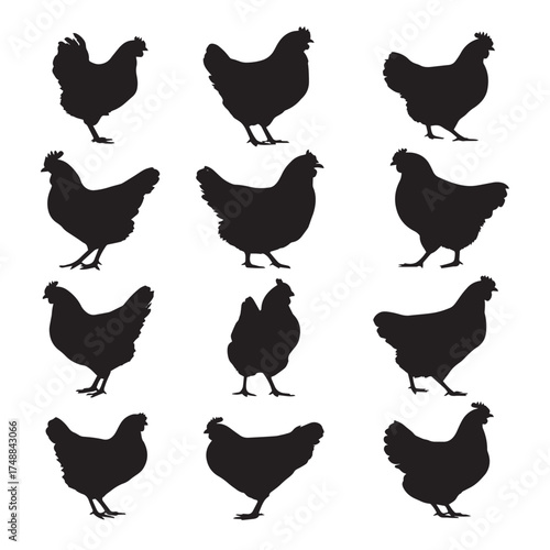 Collection of black and white hen silhouettes on a white background farm animal vector art isolated on white background