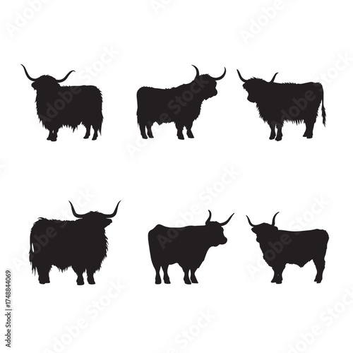 Collection of highland cow silhouettes in black and white isolated on white background