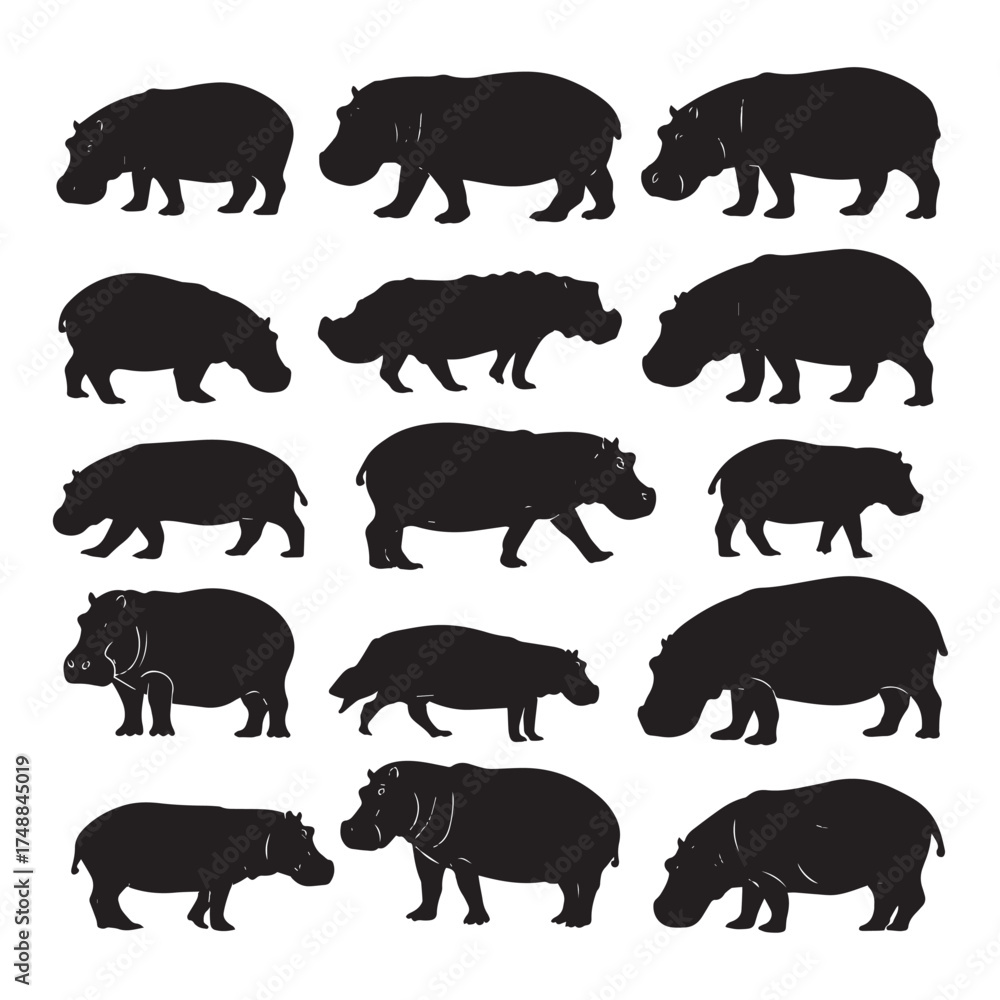 Fototapeta premium Collection of diverse hippo silhouettes in various poses isolated on white background