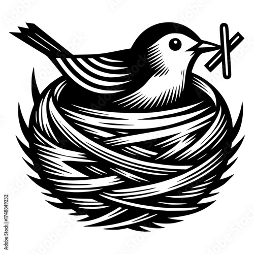 tailor bird nest neatly woven vector image illustration with transparent background 